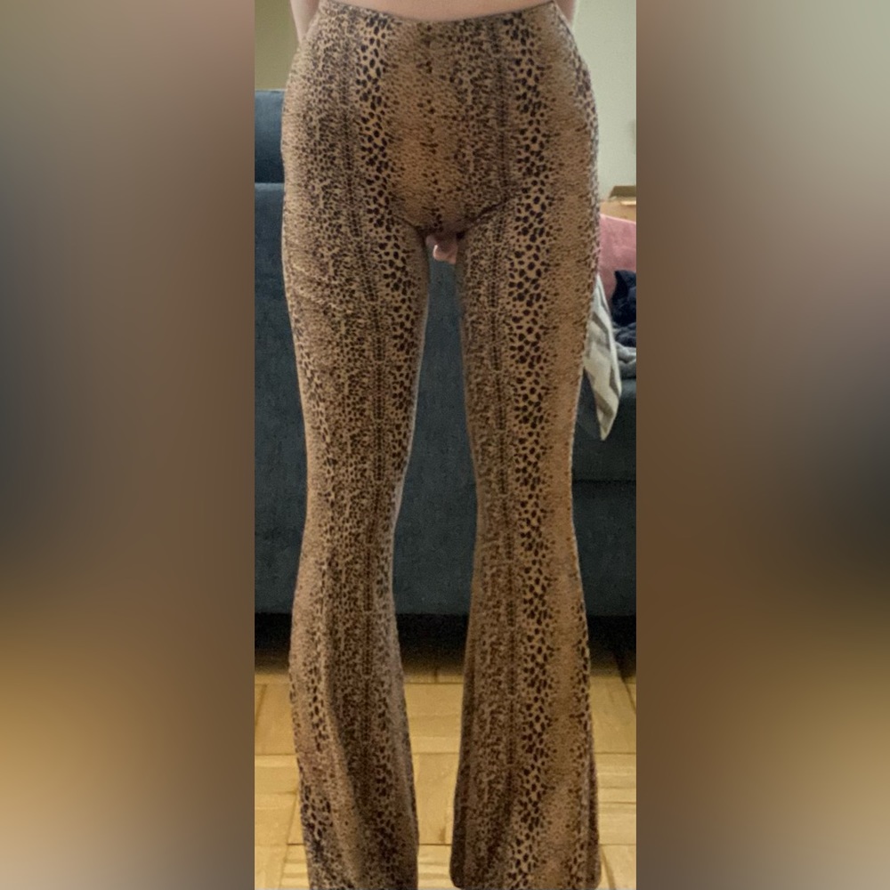 Cheetah Print Flare Pant - Windsor